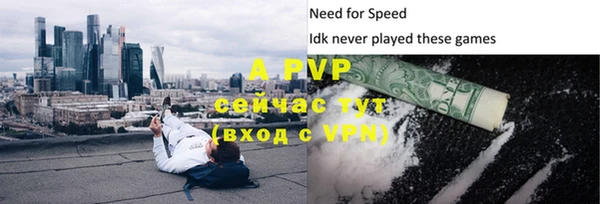 гидра Верхний Тагил