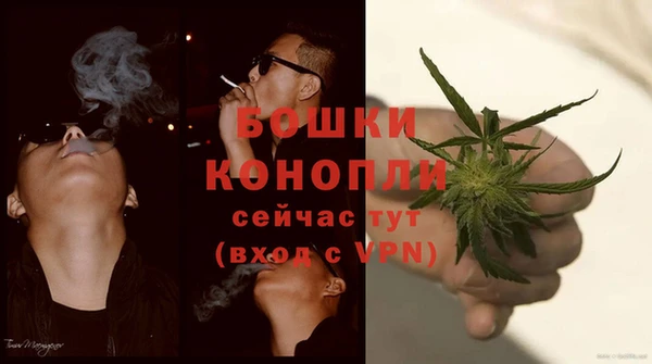 гидра Верхний Тагил