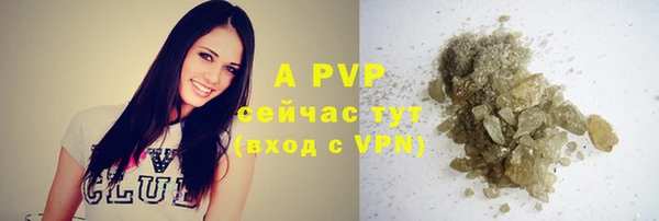 гидра Верхний Тагил
