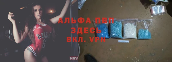 гидра Верхний Тагил