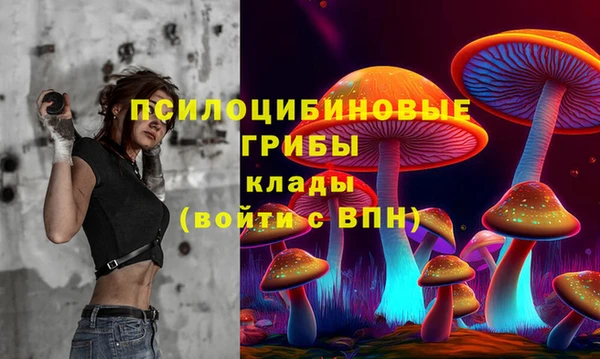 гидра Верхний Тагил
