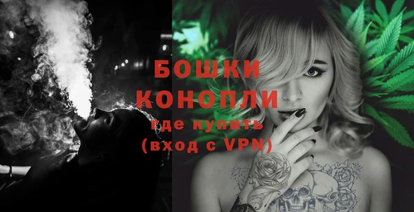 гидра Верхний Тагил