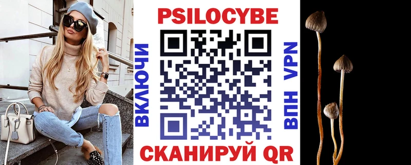Галлюциногенные грибы Psilocybe Краснообск