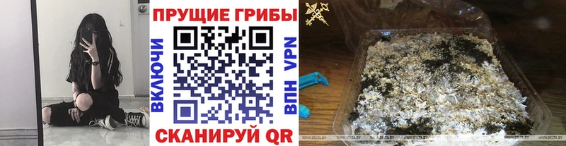 купить наркотики сайты  Краснообск  kraken онион  Галлюциногенные грибы Magic Shrooms 